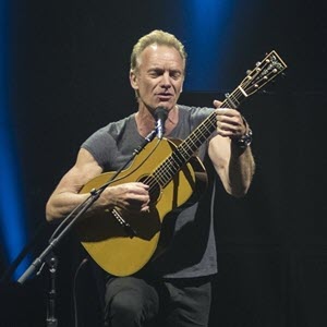 Sting-feature